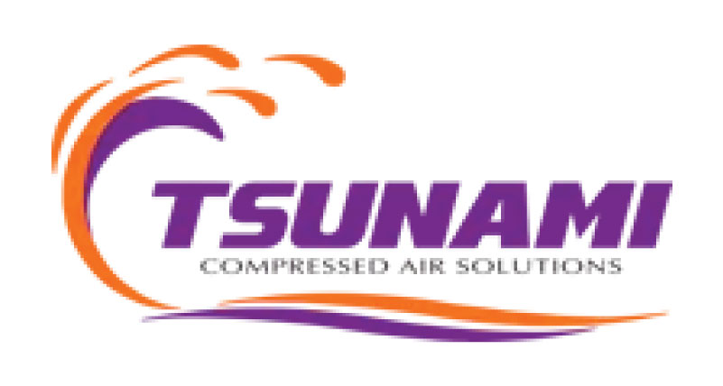 Tsunami Compressed Solutions